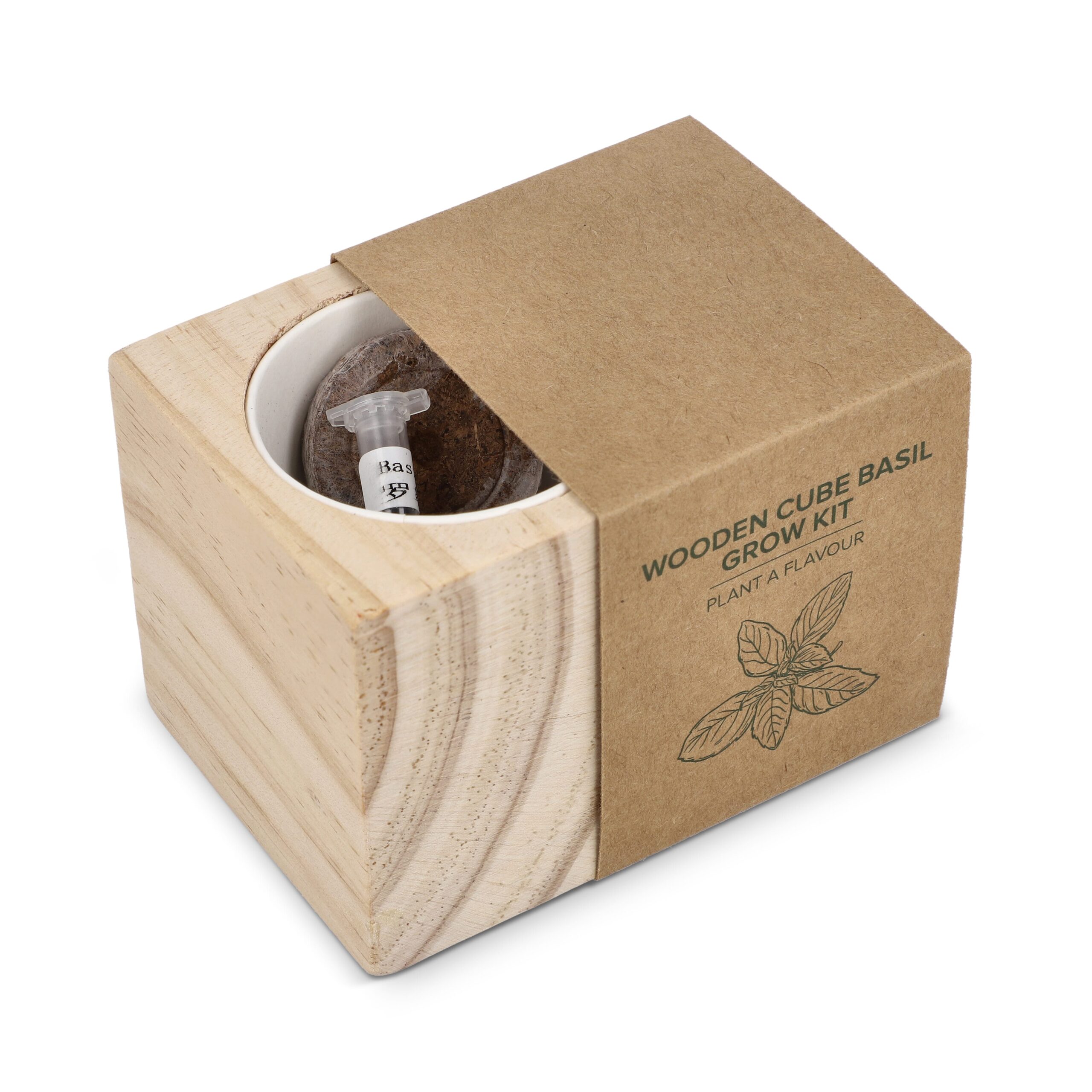 FSC-Holzpflanzgefäß-Set – Basilikum – Bild 6