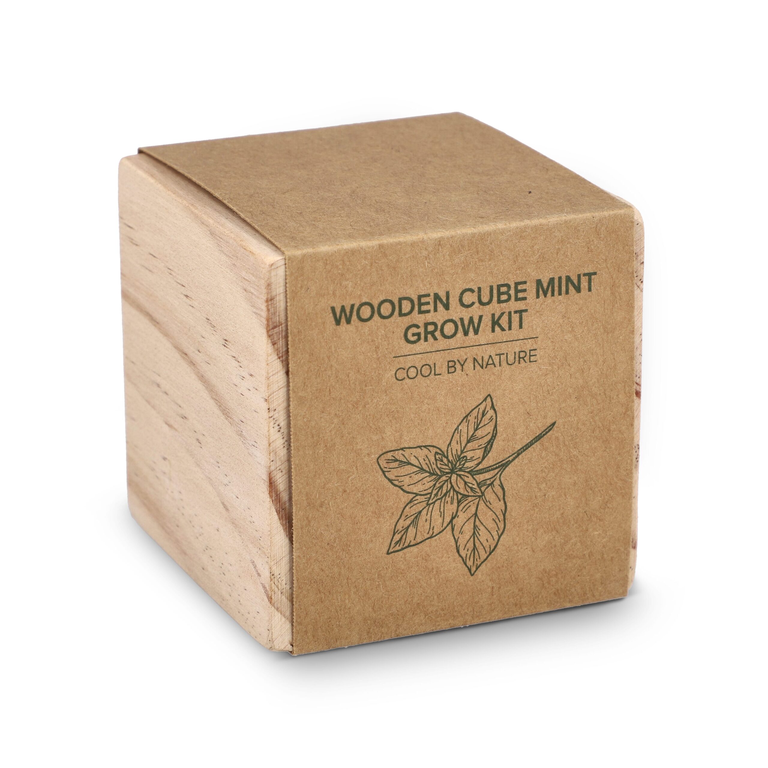 FSC-Holzpflanzgefäß-Set – Mint – Bild 2