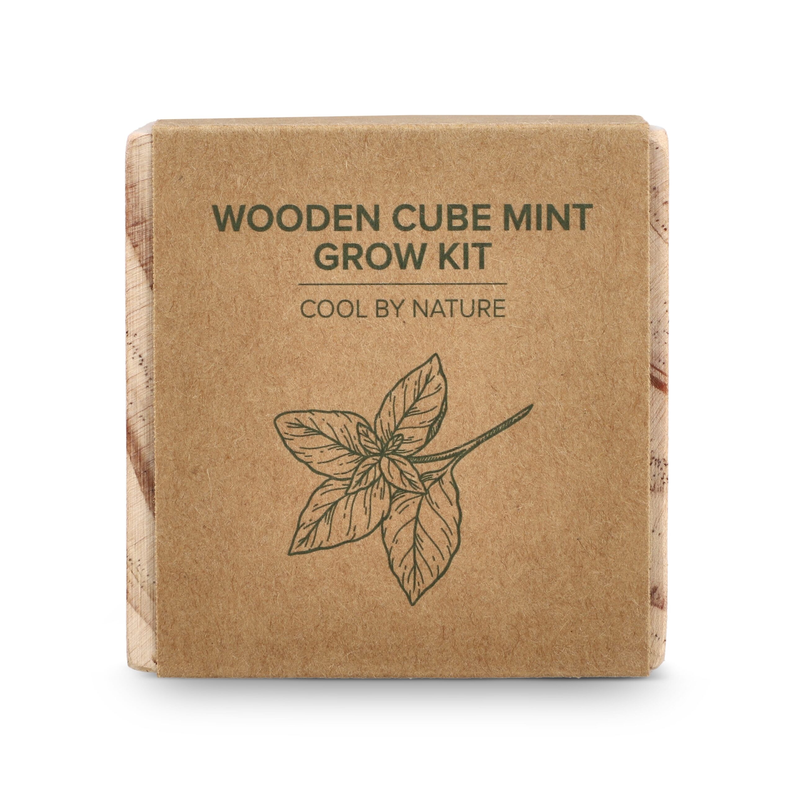 FSC-Holzpflanzgefäß-Set – Mint – Bild 3