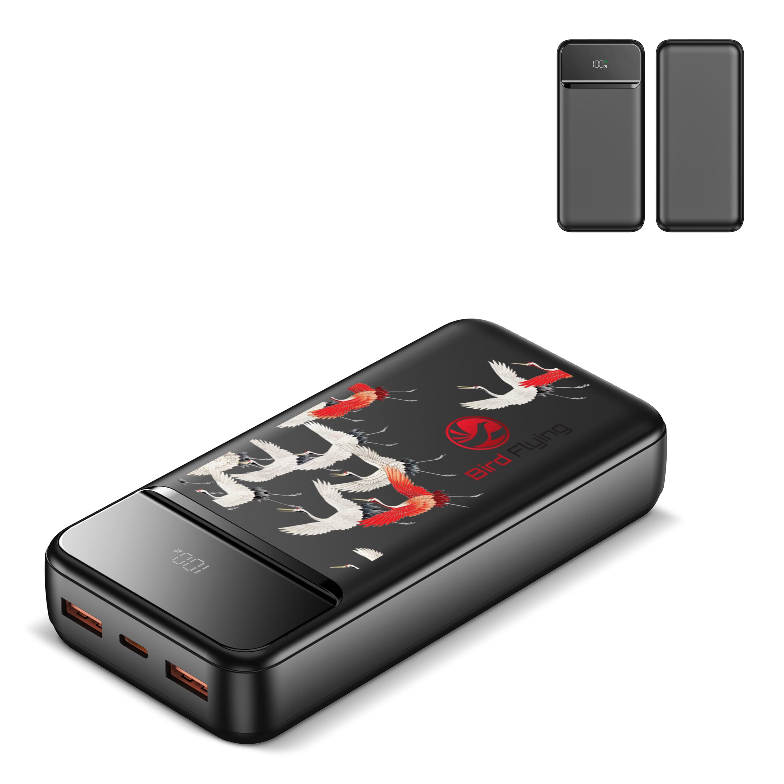 Nolu Powerbank mit LED-Anzeige 20000 mAh
