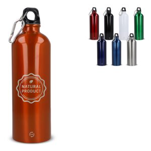 R-Edelstahl einwandige Flasche mit Karabiner 750ml